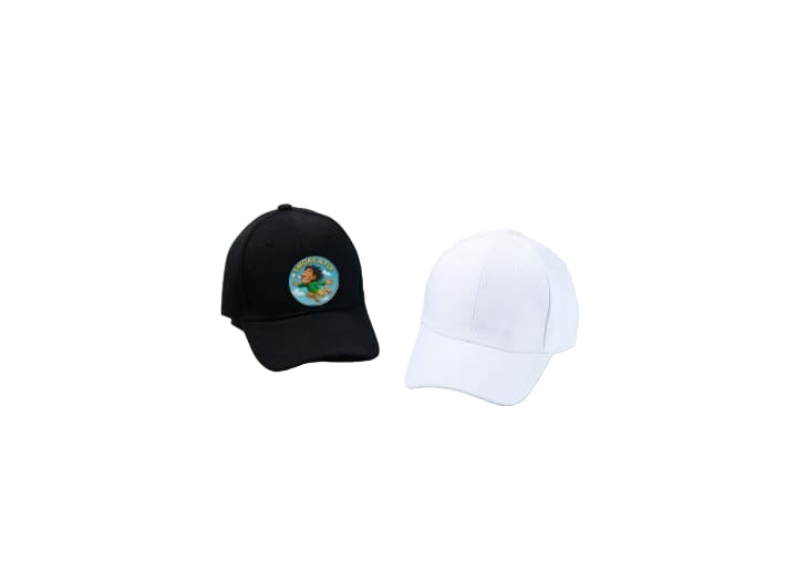 Smoke & Fly Cap